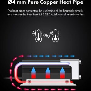 GRAUGEAR M.2 2280 SSD Heatsink, Direct-Touch Heat of Dual Copper Heat Pipes, 25mm Cooling Fan Built-in PWM Control, Aluminum Plate-Fin Design, Thermal Pads incl., 1.34 in Height [G-M2HS03-F]