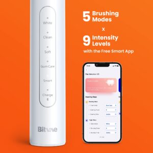 Bitvae Sonic Whitening Toothbrush, Ultrasonic Rechargeable Electric Toothbrush with 8 Brush Heads & Travel Case, 5 Modes, 4 Hr Charger Last 100 Days Power