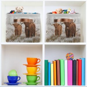 Scottish Highland Cow Storage Basket Fabric Storage Bin Baskets Bull Farmhouse Funny Animal Foldable Storage Boxes Bag for Baby Cloth Dog Toy Book Storage Cubes Shelf Closet Basket 16×12×8 Inches