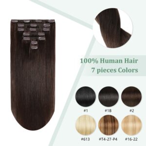 Clip in Hair Extensions Real Human Hair 14inch Remy Hair Extensions Clip ins 105g Dark Brown Double Weft Natural Straight Natural Human Hair Clip in Extensions for Women (14 inch,7pcs, 105g)