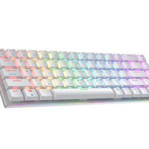 Ranked G65 Guardian 65% | Full Aluminum Frame | Ultra Slim Hot Swappable Mechanical Gaming Keyboard | 68 Keys Multi Color RGB LED Backlit for PC/Mac Gamer (White, Gateron Low Profile Blue)