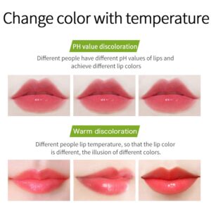 Kaynest 2 Packs Aloe Vera Lipstick Lips Moisturizer Long Lasting Nutritious Lip Balm Magic Temperature Color Change Lip Gloss (Set-B)