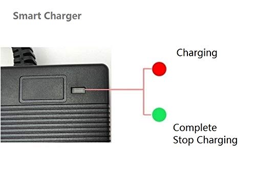 PowerTech Supplier 3 Amp Smart Charger Compatible with HIBOY Titan PRO Electric Scooter