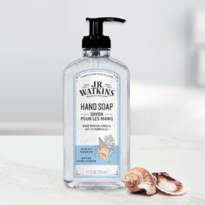 J.R. Watkins Gel Hand Soap With Dispenser, Moisturizing Hand Wash, All Natural, Alcohol-Free, Cruelty-Free, USA Made, Ocean Breeze, 11 Fl Oz, 3 Pack