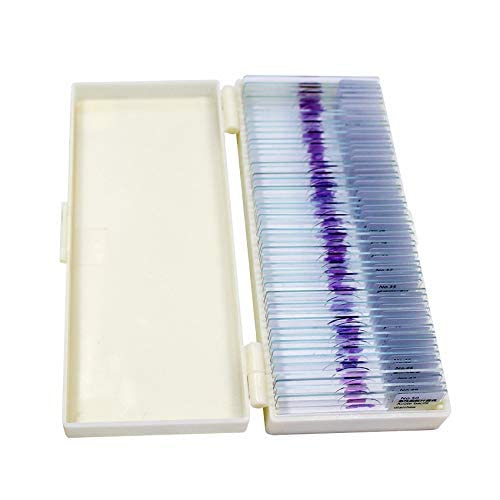 50-Set Prepared Microscope Slides Histology for Medical School Education Study