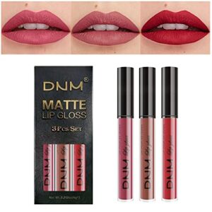 amy's diary 3pcs nude red matte liquid lipstick sets, lip stain long lasting 24 waterproof lip gloss gift set matt lipsticks set matt liquid makeup lipstick for women lippies (set10)