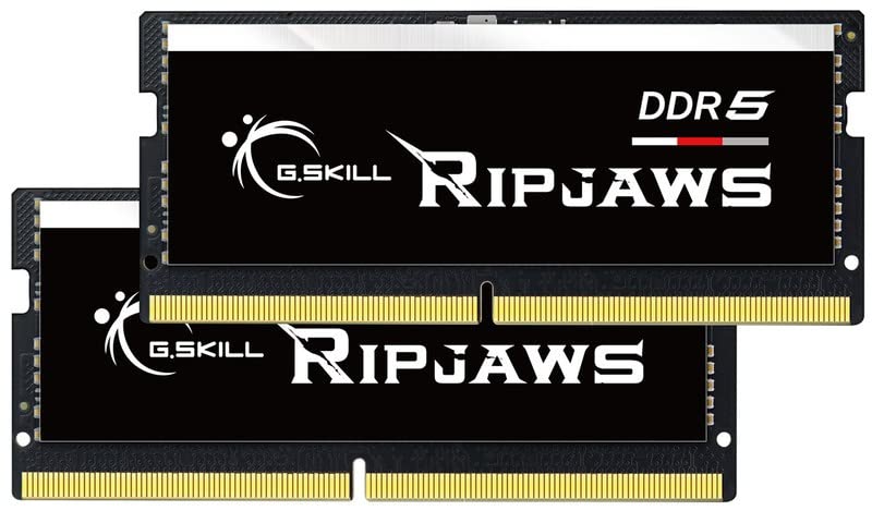 G.SKILL Ripjaws DDR5 SO-DIMM Series DDR5 RAM 64GB (2x32GB) 4800MT/s CL40-39-39-76 1.10V Unbuffered Non-ECC Notebook/Laptop Memory SODIMM (F5-4800S4039A32GA2-RS)