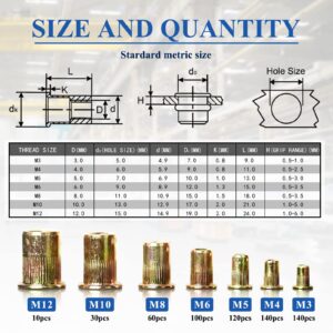 600pcs Metric Rivet Nut Kit, Rivet Nuts Assortment M3 M4 M5 M6 M8 M10 M12, Carbon Steel Zinc Plated Finish Flat Head Threaded Insert Rivet Nuts Set with Rugged Carrying Case