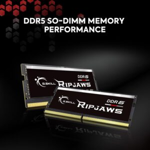 G.SKILL Ripjaws DDR5 SO-DIMM Series DDR5 RAM 32GB (2x16GB) 4800MT/s CL40-39-39-76 1.10V Unbuffered Non-ECC Notebook/Laptop Memory SODIMM (F5-4800S4039A16GA2-RS)