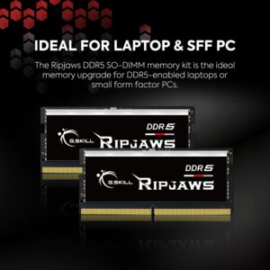 G.SKILL Ripjaws DDR5 SO-DIMM Series DDR5 RAM 64GB (2x32GB) 4800MT/s CL40-39-39-76 1.10V Unbuffered Non-ECC Notebook/Laptop Memory SODIMM (F5-4800S4039A32GA2-RS)