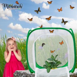 8-Pack FAT CAT Large Floral Tubes with Flat Lids | Flower Water Tubes to Feed Caterpillars Milkweed Stem and Leaf Cuttings, Host Plants, and Nectar Flowers to Keep Them Fresh by MONARCH BUTTERFLY LIFE