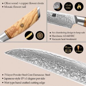 XINZUO Steak Knife Set of 4, Damascus Powder Steel Kitchen Steak Knife Set, Non Serrated Steak Knives, Razor-Sharp Dinner knives with Gift Box, Kitchen Table Knife with Olive Wood Handle-Lan Series