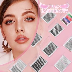 280 Pcs Individual Lashes 30D+40D Mixed Lash Clusters 14 Rows that Look Like Eyelash Extensions DIY Lash Extension Self Application At Home (30+40-D-9-16mix)