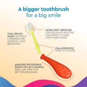 RADIUS Big Kidz Forever Brush Replacement Heads for Children, 6 Years and Up, BPA Free ADA Accepted for Growing Teeth and Gums, 2 Heads - Extra Soft