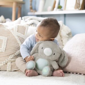 Ingenuity Heart to Hugs Sylvi Soothing Plush Toy with Lights, Vibrations, & Music