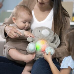 Ingenuity Heart to Hugs Sylvi Soothing Plush Toy with Lights, Vibrations, & Music