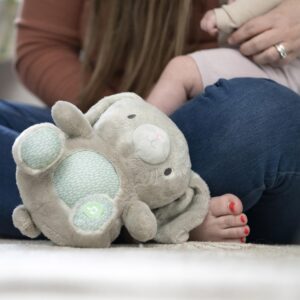 Ingenuity Heart to Hugs Sylvi Soothing Plush Toy with Lights, Vibrations, & Music