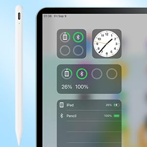 Stylus Pen for iPad,Pencil with Palm Rejection,Apple Pencil for (2018-2022) iPad Pro 11/12.9, iPad 9th/8th/7th/6th Gen, iPad Air 5th/4th/3rd Gen, iPad Mini 6th/5th Gen-for Painting Sketching Doodling