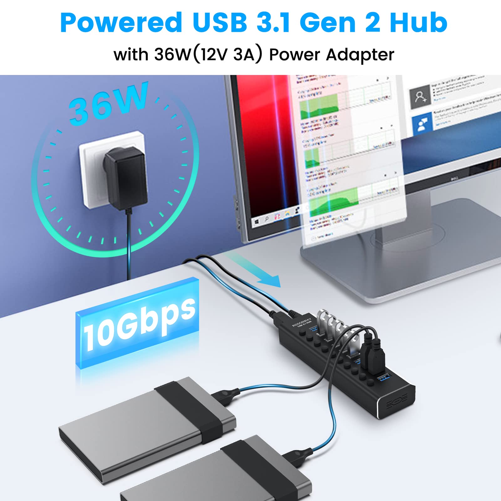 Rosonway 10 Port USB 3.1 Hub 10Gbps + RSHTECH 4 Port Powered USB 3.0 Hub