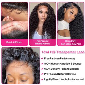 padise 13x4 HD Transparent Water Wave Lace Front Wigs Human Hair for Black Women Brazilian Curly Lace Frontal Wigs Human Hair Wet and Wavy Glueless Wigs Human Hair Pre Plucked Natural Color 20 Inch