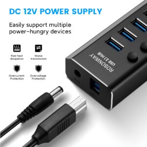 Rosonway 10 Port USB 3.1 Hub 10Gbps + RSHTECH 4 Port Powered USB 3.0 Hub