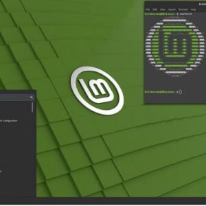 Linux Mint USB Ver. 20.3 Cinnamon, Install, Upgrade, or Repair your PC with an stable Linux OS