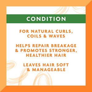 Cantu Leave-In Conditioning Cream for Natural Hair with Pure Shea Butter, 12 oz (Pack of 2) (Packaging May Vary)