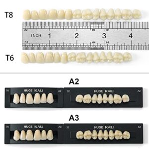 Dental Acrylic Resin Denture False Teeth A3, T6 Synthetic Polymer Resin Fake Teeth for Replacement, Halloween, DIY (28 Pcs/Set)