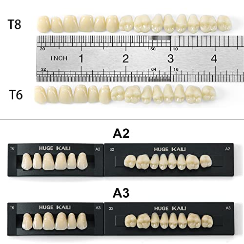 Dental Acrylic Resin Denture False Teeth A3, T6 Synthetic Polymer Resin Fake Teeth for Replacement, Halloween, DIY (28 Pcs/Set)