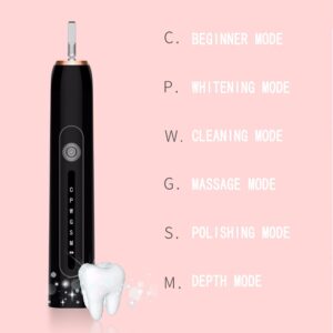 WSYKC Electric Toothbrush USB Charging for 60 Days, One Electric Handle, 4 Replacement Brush Heads, Portable Toothbrush Case, Toothbrush Holder Pink