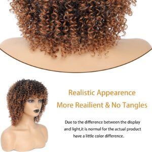 Fallsea Braided Wigs for Black Women, Kinky Curly Wigs, Synthetic Wigs, Short Wigs