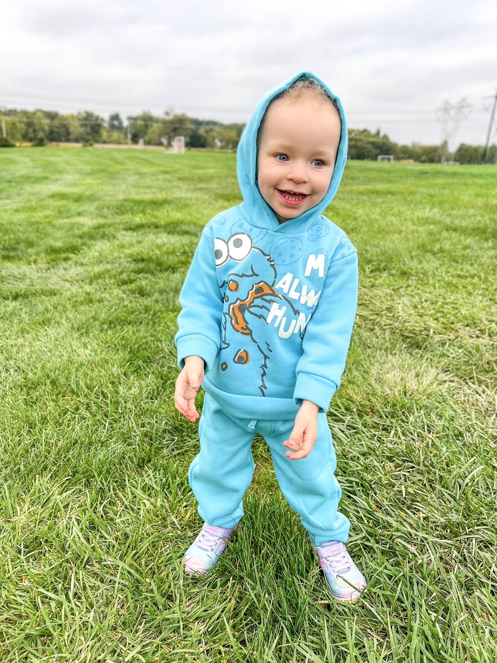 Sesame Street Cookie Monster Infant Baby Boys Fleece Pullover Hoodie and Pants Outfit Set Blue 24 Months