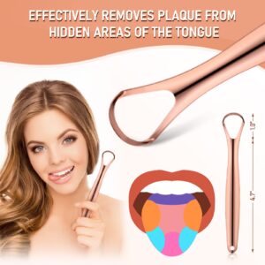 HLFLYG 4 Pack Tongue Scrapers, Hygienic Seal-Pack, Professional Eliminate Bad Breath, Metal Tongue Brush,Effectively Improve Oral And Gut Health - Rose gold