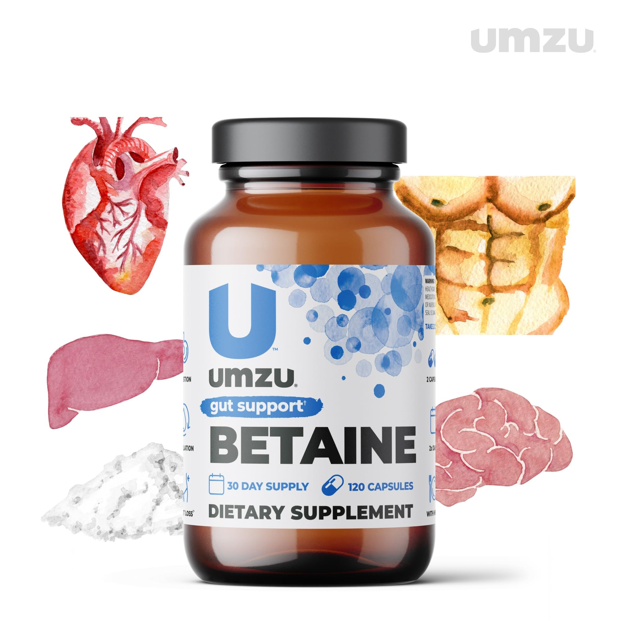 UMZU Betaine HCl Supplement | Digestive Support, Gastric Comfort, Nutrient Absorption & Cardiovascular Support | Natural Digestion & Gut Health Aid (120 Capsules)