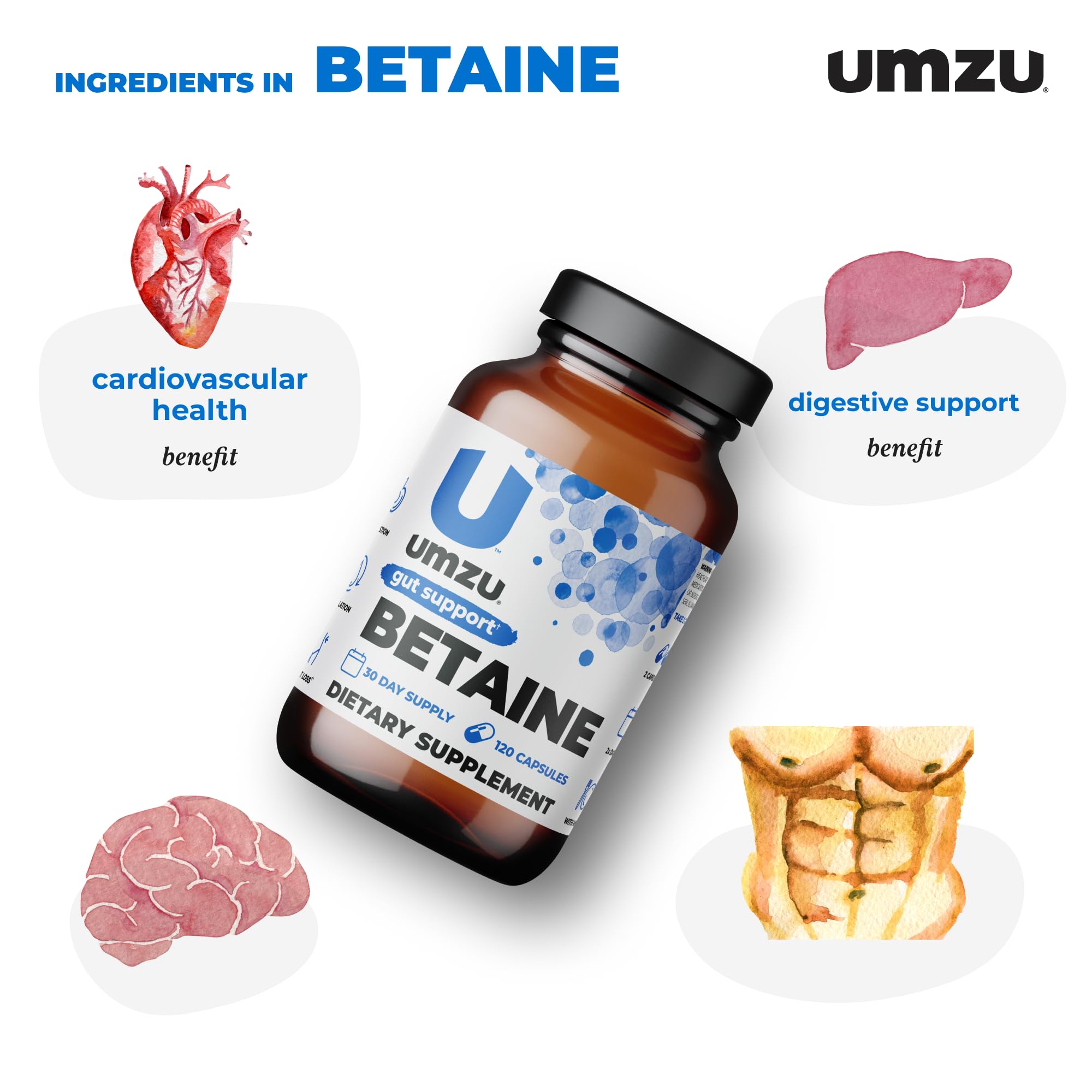 UMZU Betaine HCl Supplement | Digestive Support, Gastric Comfort, Nutrient Absorption & Cardiovascular Support | Natural Digestion & Gut Health Aid (120 Capsules)