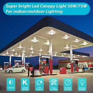 LED 75W Canopy Light Outdoor, Super Bright 5000K Daylight 9750LM IP65 Waterproof Outdoor Carport Ceiling Light, AC100-277V for Commercial Canopy Lights, Gas Station, Garage, Shop Lighting(1 Pack)