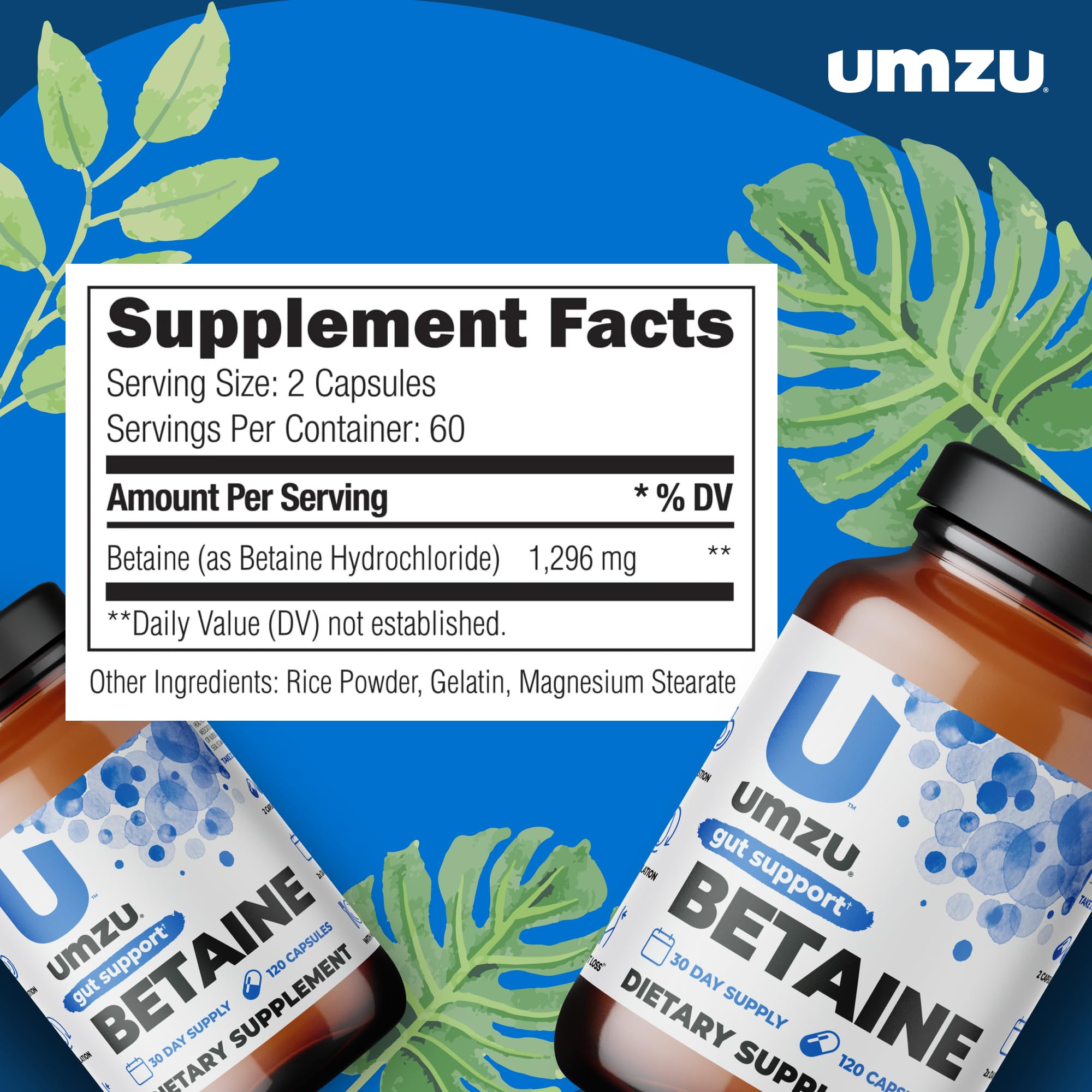 UMZU Betaine HCl Supplement | Digestive Support, Gastric Comfort, Nutrient Absorption & Cardiovascular Support | Natural Digestion & Gut Health Aid (120 Capsules)