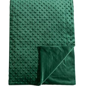 david's kids minky baby blanket for boys girls neutral, soft lightweight micro fleece blanket with double layer, dotted backing, receiving blanket for newborns, 30x40 inches, emerald green