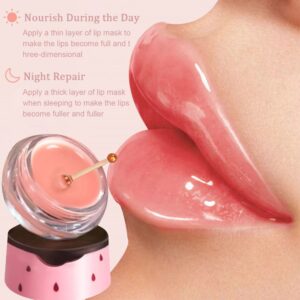 SWETIYOU Lip Plumper Lip Mask Set, Lip Plumper Gloss Lip Injection, Strawberry Propolis Moisturizing Lip Sleeping Mask, Hydrating & Prevention Dry and ed Lip Scrubs Exfoliator (Ginger and Strawberry)