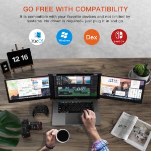 L LIMINK S19 Portable Triple Monitor for 15-17 Inches Laptops | 14" FHD 1080P IPS Dual Screens Extender with Kickstand | 72% NTSC | HDR | Compatible with Mac, Windows | Powered by USB-C & HDMI