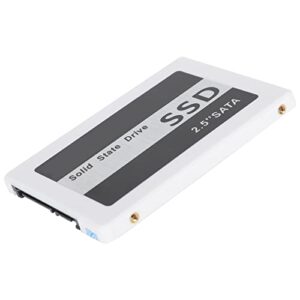 Rankomu Internal Solid State Hard Disk SSD for Laptop PC Desktop 2.5 Inch White (8GB/60GB/120GB/240GB/480GB/1TB)(480GB)