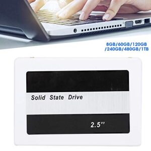 Rankomu Internal Solid State Hard Disk SSD for Laptop PC Desktop 2.5 Inch White (8GB/60GB/120GB/240GB/480GB/1TB)(480GB)