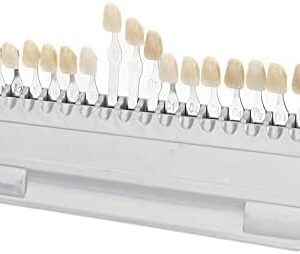 Tooth Shade Guide Teeth Whitening Tool 16 Colors Deachable Teeth Easily for Comparing Tooth Shade Before & After Bleaching