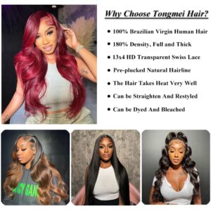 Body Wave Lace Front Wigs Human Hair Pre Plucked 13x4 HD Transparent Lace Frontal Wig with Baby Hair 180% Density Brazilian Virgin Human Hair Lace Front Wigs for Women Natural Black 22inch