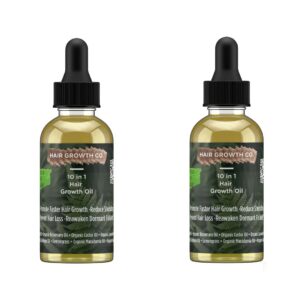 (2-pack) 10 in 1 hair growth oil (2 oz) | formulated with african chebe powder for extreme hair growth, 2 fl oz (pack of 1), 2.0 ounces