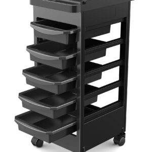 TASALON Budget Hair Styling Salon Trolley Cart with Wheels and 5 Drawers, Salon Rolling Cart for Extra Hairdresser Storage, Tool Free Rolling Salon Cart for Hair Stylist, Hairdresser, Beauty, Tattoo