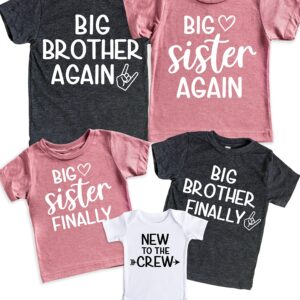 Teeny Fox Big Brother Again Sister Finally New to Crew Sibling Announcement T-Shirt