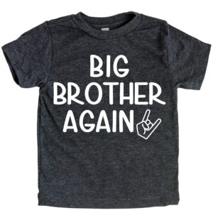 Teeny Fox Big Brother Again Sister Finally New to Crew Sibling Announcement T-Shirt