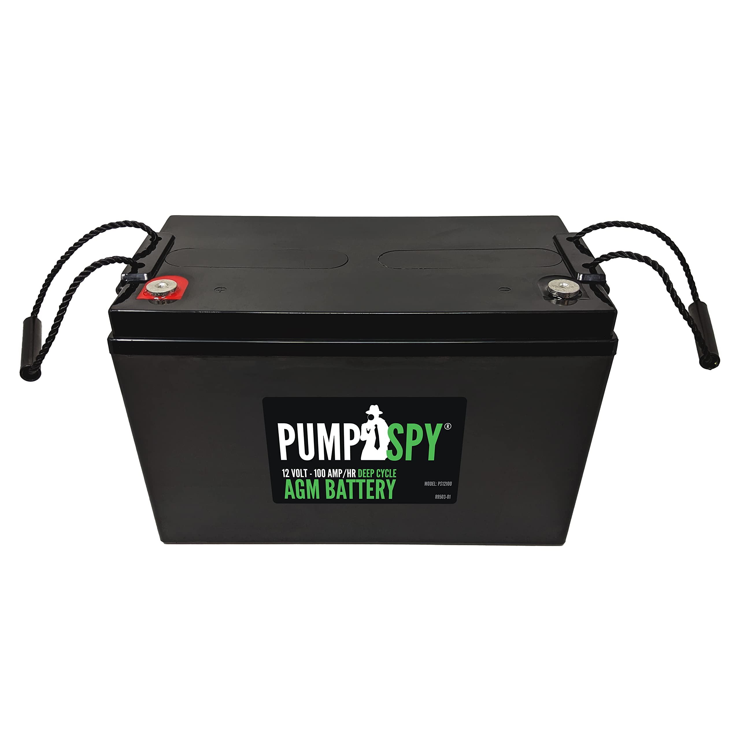 PumpSpy 12V 100 Ah Maintenance Free AGM Deep Cycle Battery