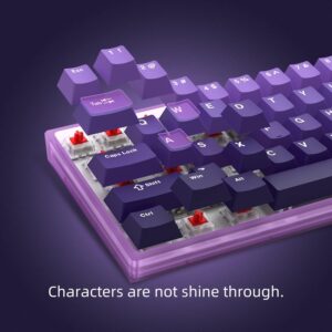 Womier PBT keycaps,Double Shot keycaps 75 Percent,Cherry Profile Keyboard keycaps,Gradient Purple Key Cap for Mechanical Gaming Keyboards（132key,only keycaps）